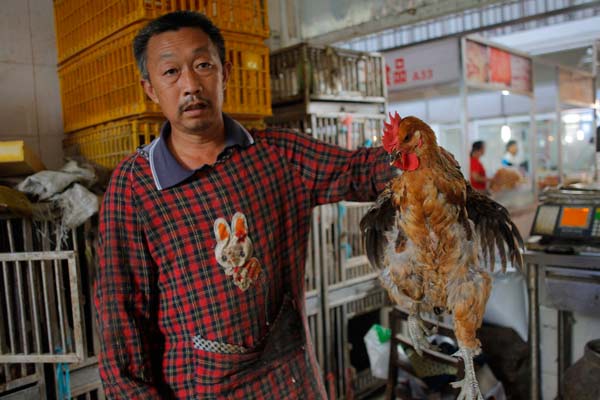 Wang, a vendor from Anhui province, sells live chickens at Hongmiao agricultural produce market in Shanghai on Thursday, about two months after a ban on sales of live poultry was imposed following the H7N9 avian flu outbreak. GAO ERQIANG / CHINA DAILY 