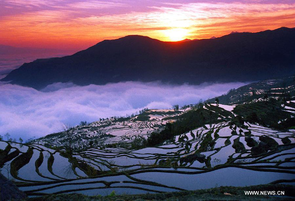 This undated photo shows the rice terraces in Yuanyang County of Honghe Prefecture, southwest China's Yunnan Province. The UNESCO's World Heritage Committee inscribed China's cultural landscape of Honghe Hani Rice Terraces onto the prestigious World Heritage List on Saturday, bringing the total number of World Heritage Sites in China to 45. (Xinhua)