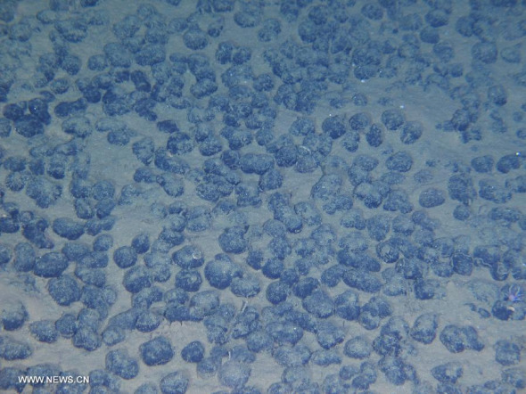 This photo taken by China's manned submersible Jiaolong on July 3, 2013 shows iron-manganese deposits in South China Sea. Extensive iron-manganese deposits were discovered by Jiaolong here on July 3. (Xinhua) 