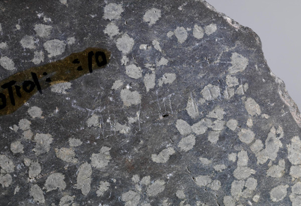 The carvings found in ruins in Pinghu, Zhejiang province. [Photo/Xinhua]