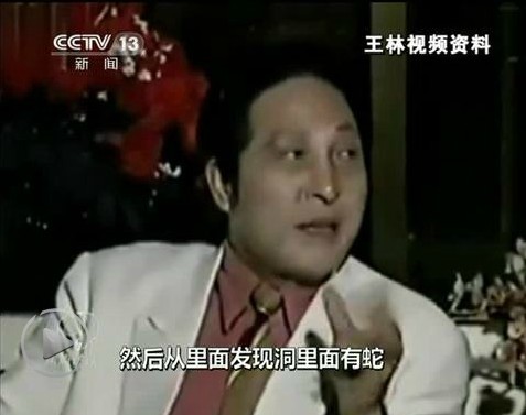 A screenshot of Wang Lin from a media interview. 