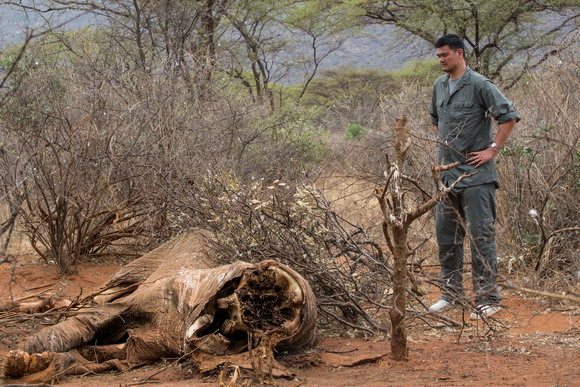 Yao Ming, Chinese basketball bigwig, stands by the remains of an elephant shot dead by poachers in Kenya, Aug 13, 2012. China has lent extremely important support to Kenya to help wildlife protection, said the African country's foreign minister. [Kristian Schmidt / Asianewsphoto] 
