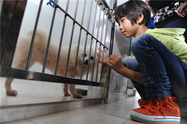 A girl caresses her canine friend at a shelter for stray dogs in Guangzhou, Guangdong province. The shelter is open for residents to adopt pets. QIAN WENPAN / FOR CHINA DAILY