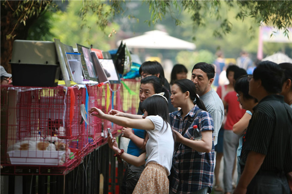 Visitors choose animals to adopt at a cat festival held in Beijing's Chaoyang Park in 2012. [Photo/Xinhua]