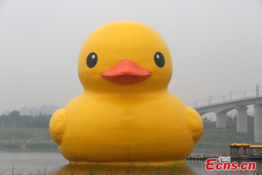 Photo taken on September 8 shows Dutch artist Florentijn Hofman's giant rubber duck at the Beijing Garden Expo Park. [Photo: CNS / Li Huisi]