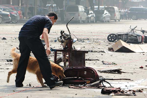 Fatal blast: A sniffer dog works at the scene of an explosion, which killed two people and injured at least 44 near a school on Monday in Guilin, Guangxi Zhuang autonomous region. [MENG XIAN / FOR CHINA DAILY]