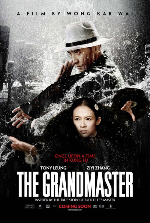 Poster of Wong Kar-wai's film The Grandmaster [Photo: douban.com]
