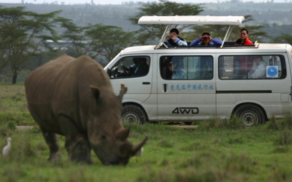 Chinese tourists observe wild animals at Kenya's Lake Nakuru National Park on May 2, 2005. The number of Chinese touring abroad in 2013 is expected to increase 15 percent over last year to 95.7 million individual trips. Wang Hongda / Xinhua