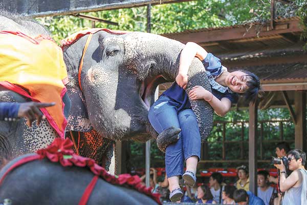 The elephant show in Thailand is one of the biggest attractions for Chinese tourists. [Geng feifei / china daily]
