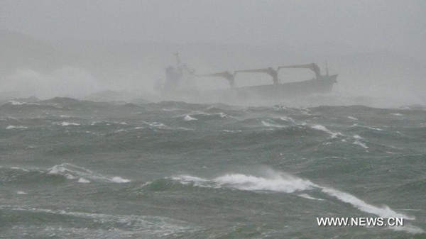 A Panamanian-registered cargo ship is seen in surging waves near Pohang harbor, South Korea, Oct. 15, 2013. The cargo ship carrying 19 people sunk in South Korea's southeast Pohang harbor amid a storm at 21:30 local time on Tuesday, leaving one people dead and 18 missing, according to the Chinese Consulate General in Busan. (Xinhua)