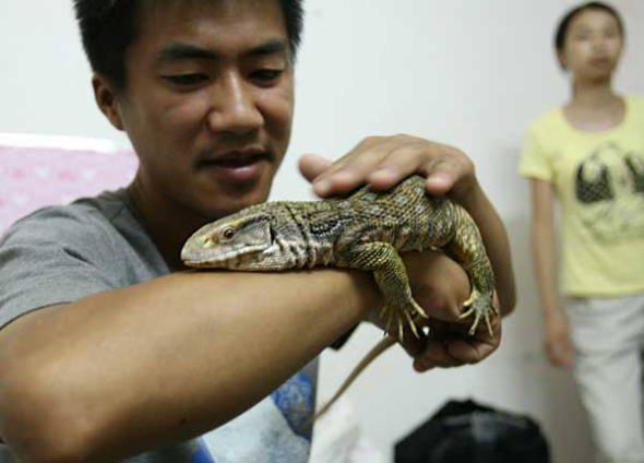 A man strokes his pet lizard in Wuhan, Hubei province. Shi Yi / For China Daily