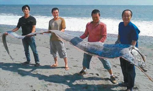 Guo and his friends pose with the 5-meter long giant oarfish he hooked while fishing off a beach near Seaside Park in Taitung, Taiwan on October 28. Photo: United Daily News