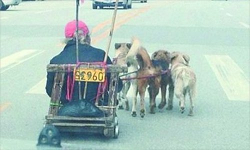 An elderly man drives a three-dog sled in the fast lane of a street in Wuhan, Hubei Province on November 3. Photo: Wuhan Evening News