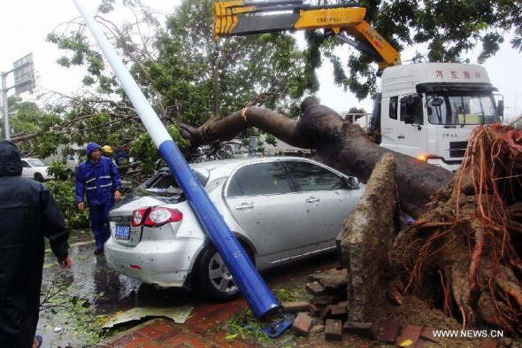 An uprooted tree hits a car on the road due to strong wind caused by Typhoon Haiyan, which approaches Sanya city, south China's Hainan province, Nov. 10, 2013. Haiyan, the 30th and strongest typhoon to hit China this year, is bringing downpours and strong wind to Hainan. As of 3:00 p.m. Sunday, Haiyan had also delayed 187 flights at Sanya Phoenix Airport. (Xinhua/Yuan Yongdong) 