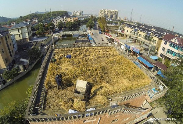A view of Peng Qiugen's sky farm in Shaoxing, Zhejiang province, Nov 18, 2013. Peng, a Shaoxing native, turned the 120-square-meter roof of his house into a garden a couple of years ago. [Photo/Xinhua]