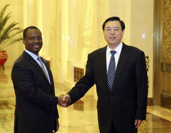Zhang Dejiang (R), chairman of China's National People's Congress (NPC) Standing Committee, shakes hands with Cote d'Ivoire's parliament speaker Guillaume Soro during their meeting in Beijing, capital of China, Nov. 18, 2013. (Xinhua/Ding Lin) 