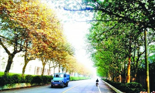 Photo: Wuhan Evening News /bbs.cnhan.com