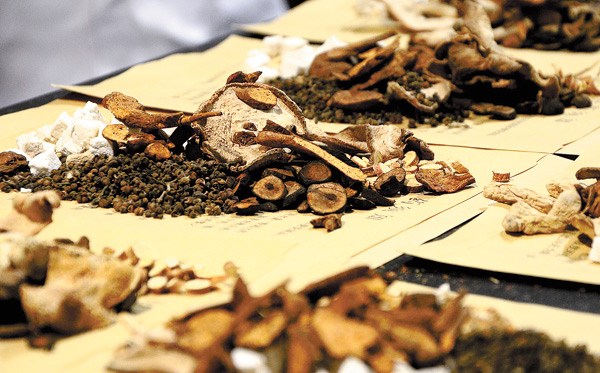 Herbal medicines are one of the most basic TCM therapies but their healing power remains unacknowledged in the West. [Provided to China Daily]