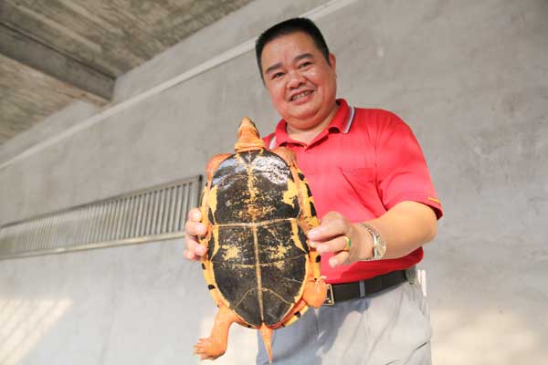 Chen Xingqian, 56, made his fortune by raising turtles in Qinzhou, the Guangxi Zhuang autonomous region. Huo Yan / China Daily