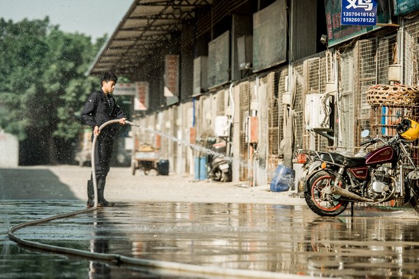 A worker disinfects stalls and facilities at a live poultry wholesale market in Guangzhou on Monday. After reports of four people infected with H7N9 bird flu virus last week, Guangdong province ordered a one-day closure of live poultry markets for disinfection. Long Yuyang / China News Service
