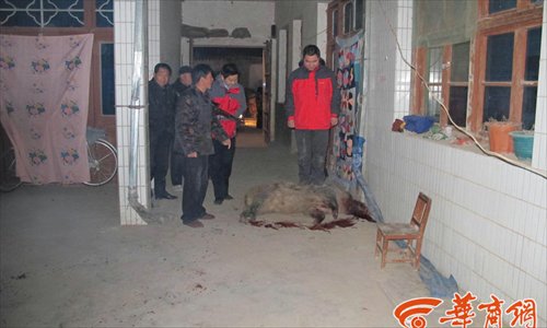 A wild boar lies dead after police in Xianyang, Shaanxi province were forced to shoot it after the animal attacked a family in their home. Photo: hsw.cn
