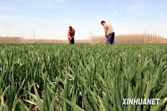 For the past 10 years, the Chinese government has been trying to get rural consumers to spend more to boost the economy, especially in the country's interior far from the more prosperous, eastern coast.