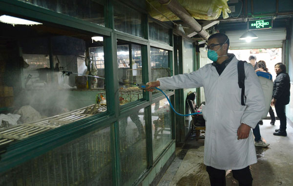 Staff from Hangzhou's disease prevention department sterilize a closed poultry market on Friday. Long wei / for china daily 