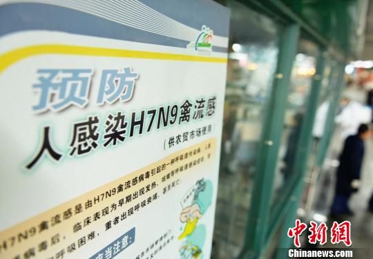 The H7N9 bird flu virus has killed 19 people in China this year, with more than half of the cases in Zhejiang.