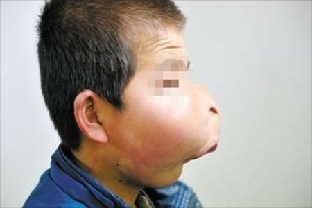 Photo: Ningxia Daily