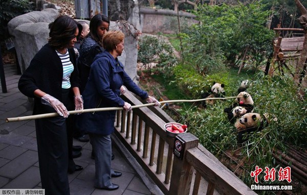 US first lady Michelle Obama, her daughters and her mother visit the Chengdu Research Base of Giant Panda Breeding on Wednesday. [Photo/Agencies]