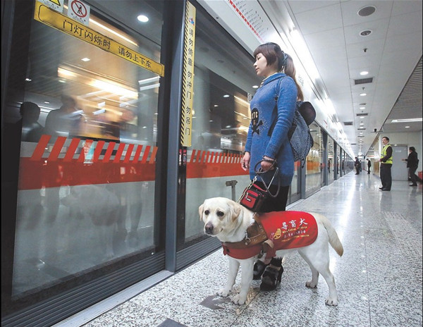 Blind woman Chen Xin takes the Metro yesterday with her guide dog.  Xinhua
