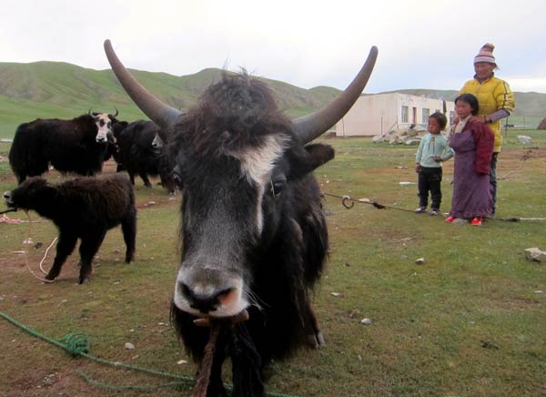 Educators traveled across Yege township’s mountainous grasslands to convince parents to allow their children to attend school rather than herd yaks in the nomadic community. 