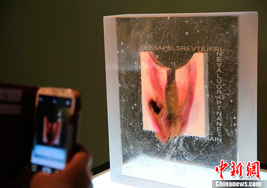 n exhibition of glass works by French artist Antoine Leperlier went on display in downtown Shanghai.