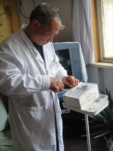 A doctor removes live bees from a box in preparation for an apitherapy session. Photo: Chen Ximeng/GT