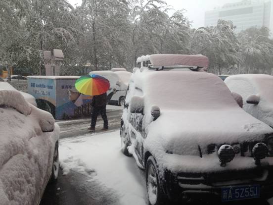 Cars are blanketed by a layer of snow in Urumqi, the capital of Northwest Chinas Xinjiang Uygur autonomous region, April 23, 2014. [Photo/chinadaily.com.cn]