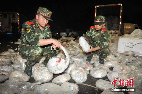 Border police in south China's Guangdong province have seized hundreds of dead pangolins while busting a wildlife trafficking case. [Photo / Chinanews.com]