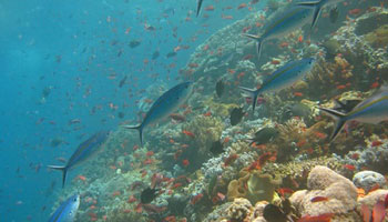 [File photo: Xinhua]