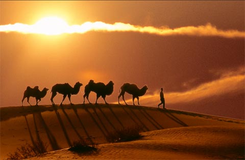 The Silk Road is a series of trade and cultural transmission routes that links the East with the West.