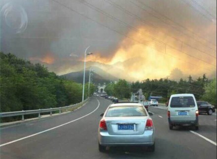 City closes kindergartens for forest fire