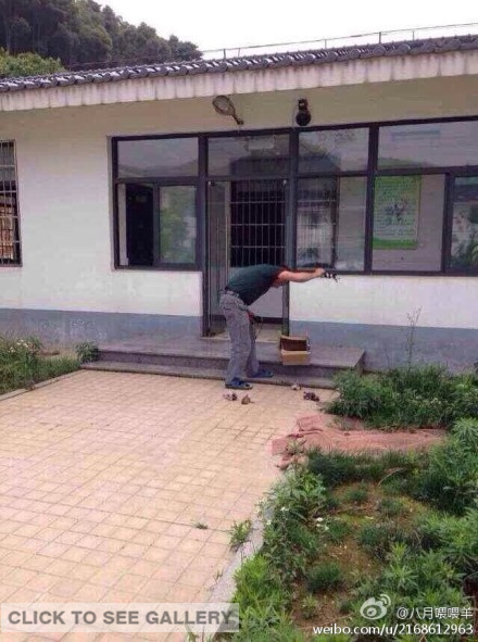 A feeder at the Hangzhou Dog Shelter is smashing the puppies against marble steps to death. (Photo: screenshot from Sina Weibo)