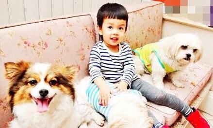 A photo showing Chinese actress Sun Li's son with his dogs. [Photo: Sun Li's account of Weibo]