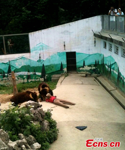 Bears attack a model visitor shortly after it fell into the bear enclosure during an emergency drill at a zoo in Chengdu, Southwest China's Sichuan province, June 19, 2014. [Photo/Liu Zhongjun]