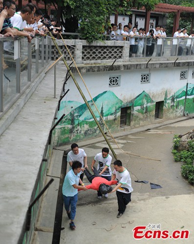 People save a model visitor while using long bamboo poles and high-pressure water guns to distract and intimidate the bears during an emergency drill at a zoo in Chengdu, Southwest China's Sichuan province, June 19, 2014. [Photo/Liu Zhongjun]