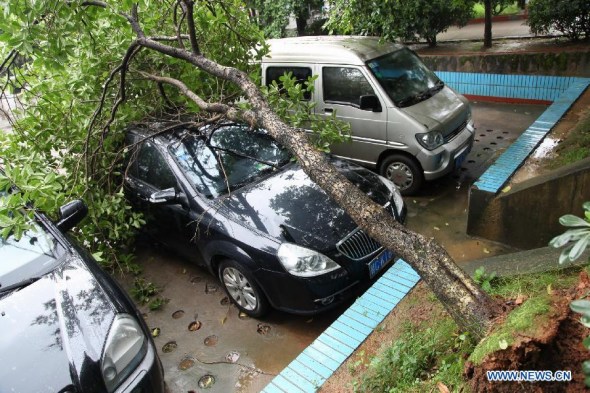 A collapsed tree falls on a motorcar in Quanzhou County of Guilin City, south China's Guangxi Zhuang Autonomous Region, June 20, 2014. A rainstorm hit several cities in Guangxi and local weather bureau has launched an emergency response. (Xinhua/Wang Zichuang)