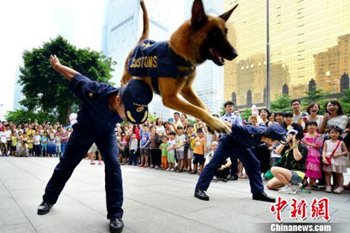 At a public awareness event over the weekend with Guangzhou Customs, these Labradors prove that they are indispensable to customs officials on the lookout for drugs.