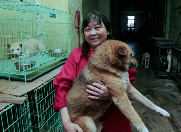 Dog lover Yang Yuhua looks after her animals in Chongqing on Wednesday. She bought the dogs from dealers at the dog meat festival in Yulin, the Guangxi Zhuang autonomous region. HE HUAIXIANG / FOR CHINA DAILY