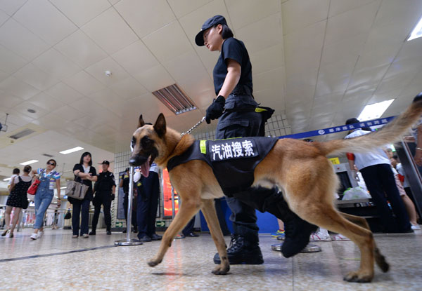 A gasoline-sniffing dog works at the Wangfujing subway station in Beijing on Monday.[Ouyang Xiaofei/For China Daily]
