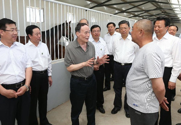 Wang Qishan (3rd L), a member of the Standing Committee of the Political Bureau of the Communist Party of China (CPC) Central Committee and secretary of the Central Commission for Discipline Inspection (CCDI) of the CPC, visits a horse breeding base in Xilinhot City, north China's Inner Mongolia Autonomous Region, July 3, 2014. Wang made an inspection tour in Xilingol League from July 3 to 4. (Xinhua/Pang Xinglei)