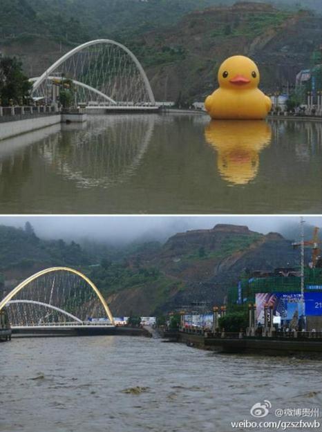 The Guizhou Province government is offering a reward to anyone who can find the Giant rubber duck lost in yesterday's huge rainstorm.