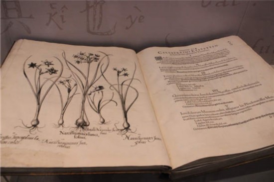 Hortus Eystetensis published in 1613 in Germany, a gardening book written in Latin.(Photo by Wang Kaihao / China Daily)